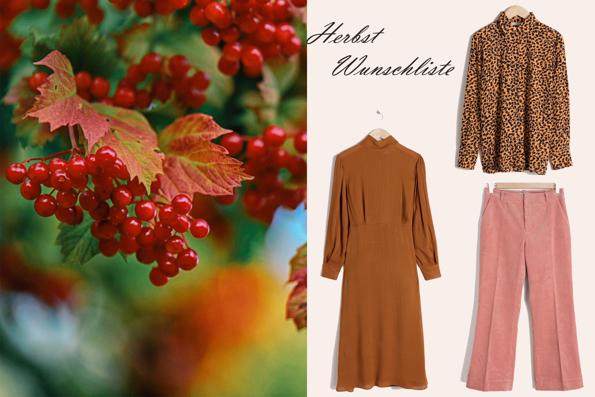 Modeblog-Deutschland-Herbst-Wuschliste